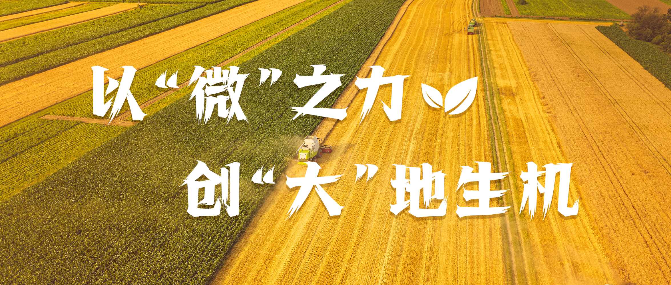 &#20122;&#32654;&#40;&#20013;&#22269;&#41;&#20307;&#32946;&#23448;&#26041;&#32593;&#31449;