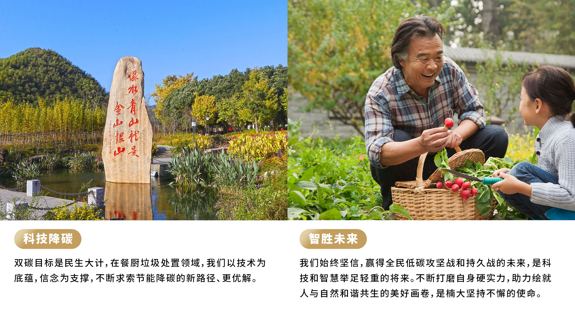 &#20122;&#32654;&#40;&#20013;&#22269;&#41;&#20307;&#32946;&#23448;&#26041;&#32593;&#31449;