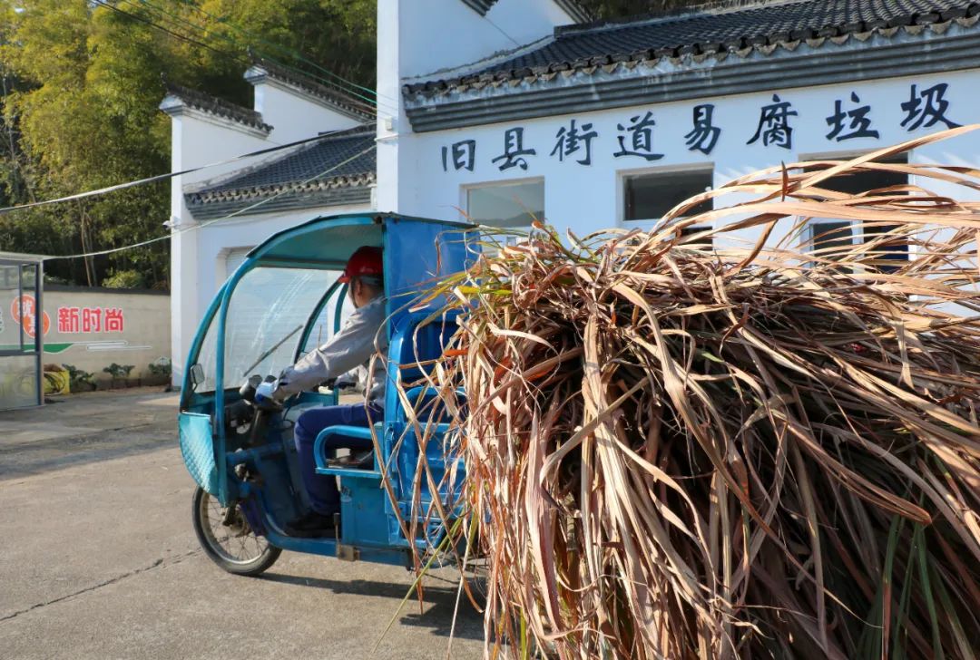 &#20122;&#32654;&#40;&#20013;&#22269;&#41;&#20307;&#32946;&#23448;&#26041;&#32593;&#31449;