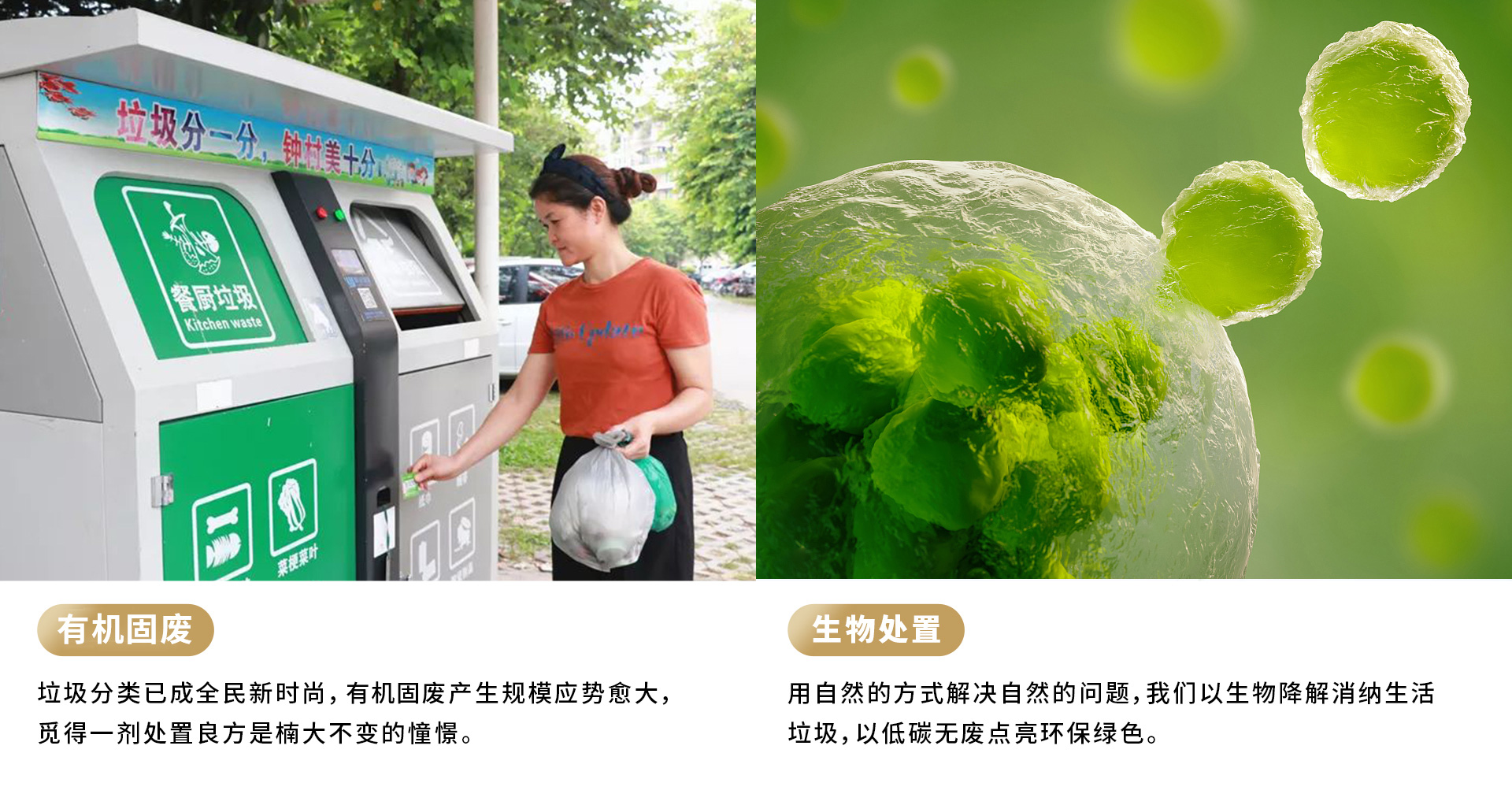&#20122;&#32654;&#40;&#20013;&#22269;&#41;&#20307;&#32946;&#23448;&#26041;&#32593;&#31449;