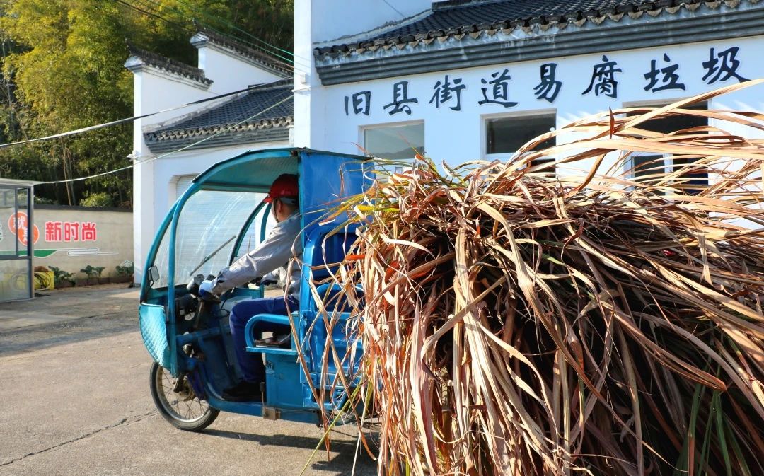 &#20122;&#32654;&#40;&#20013;&#22269;&#41;&#20307;&#32946;&#23448;&#26041;&#32593;&#31449;